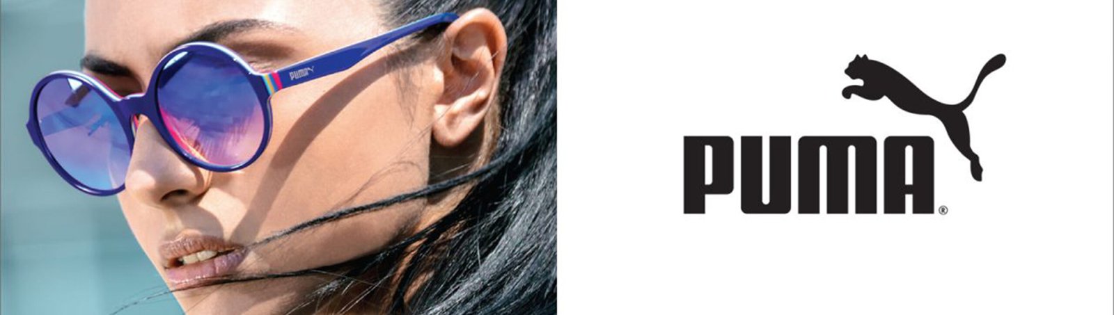puma banner